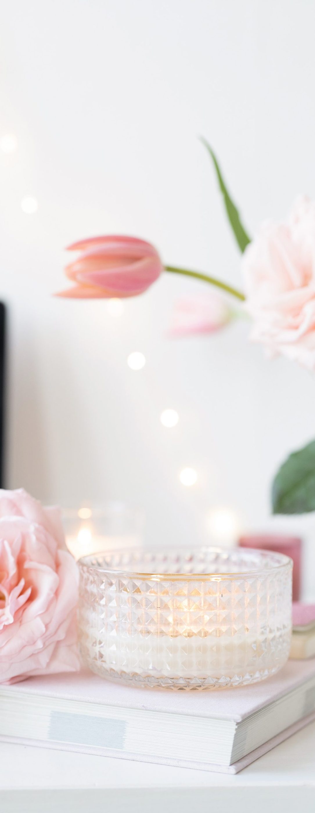 Styled Stock Society Blush Pink Desktop 16